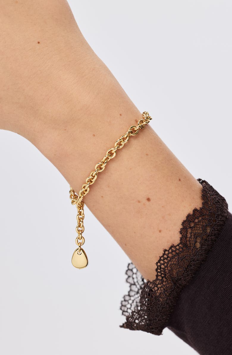 Ana Luisa Gold Charm Bracelet - Pebble Charm Bracelet, Alternate, color, Gold