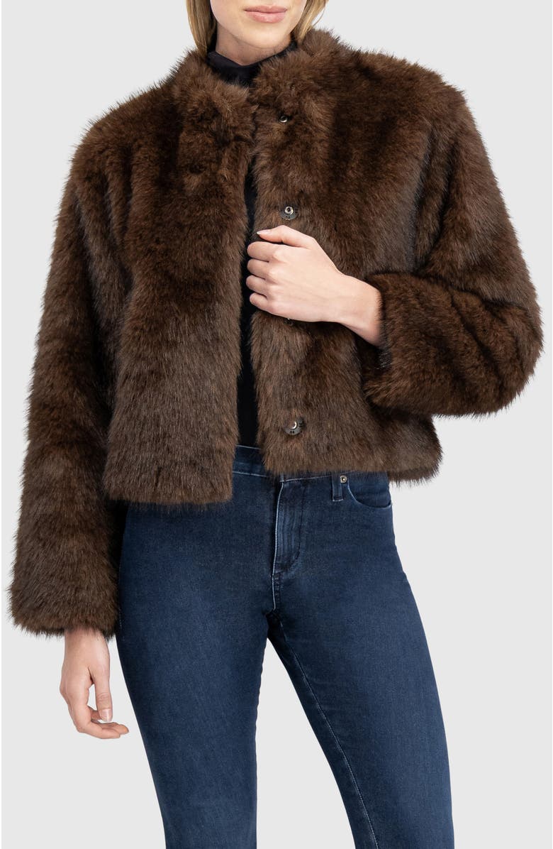 Lyla Grant Fur-Free Sable (Faux Fur) Jacket, Stand Collar, Alternate, color, Brown