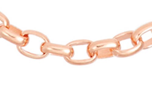 Fzn Sterling Silver Adjustable Rolo Chain Necklace In Rose Gold