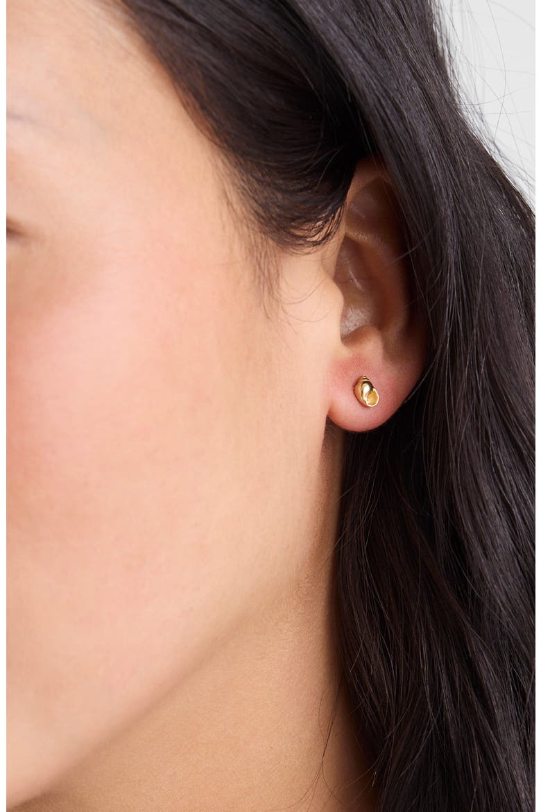 Demi-Fine Shell Stud Earrings, Alternate, color, 14K GOLD