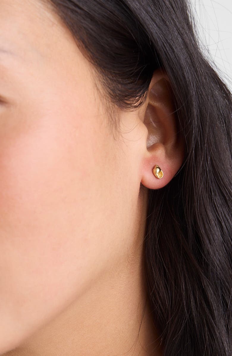Madewell Demi-Fine Shell Stud Earrings, Alternate, color, 14K Gold