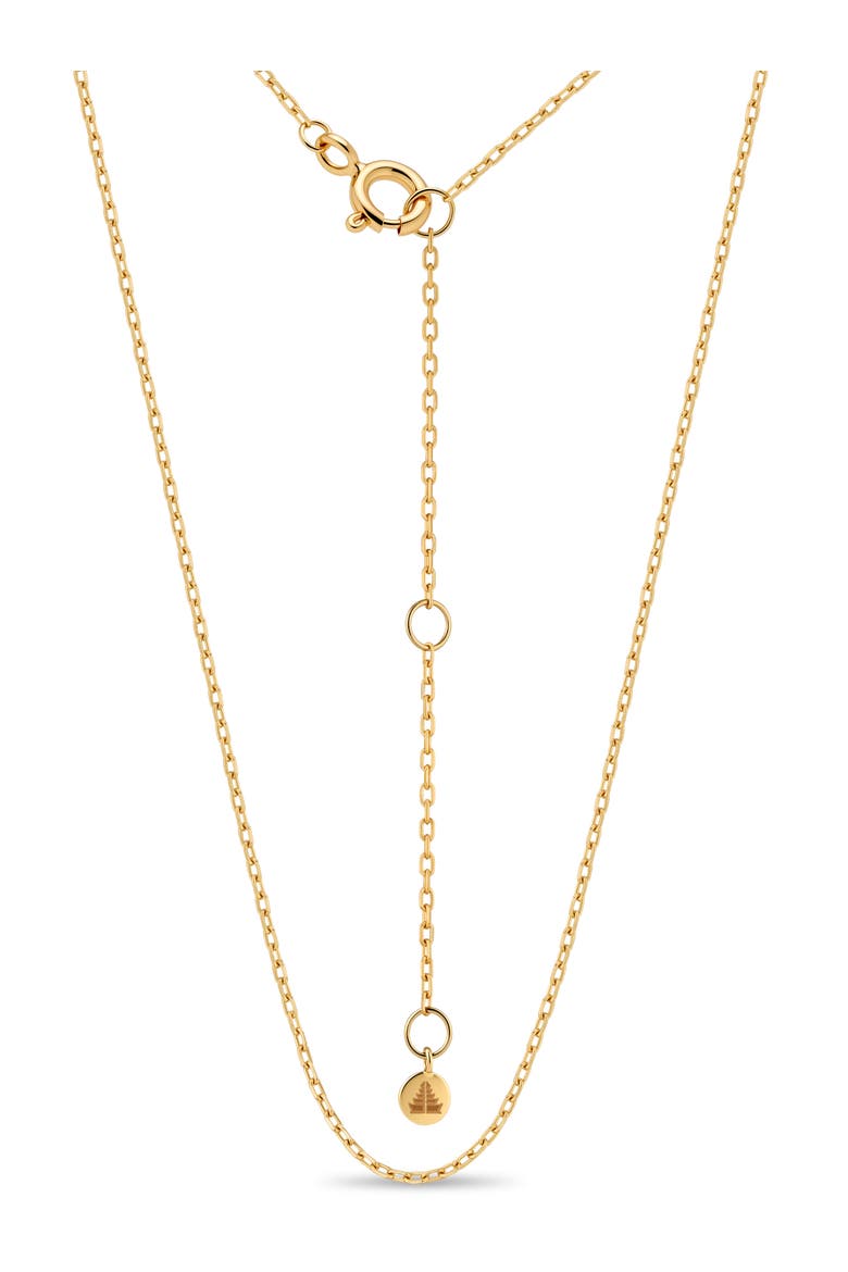 Cable Chain Necklace in 14K Gold Adjustable, Main, color, Gold