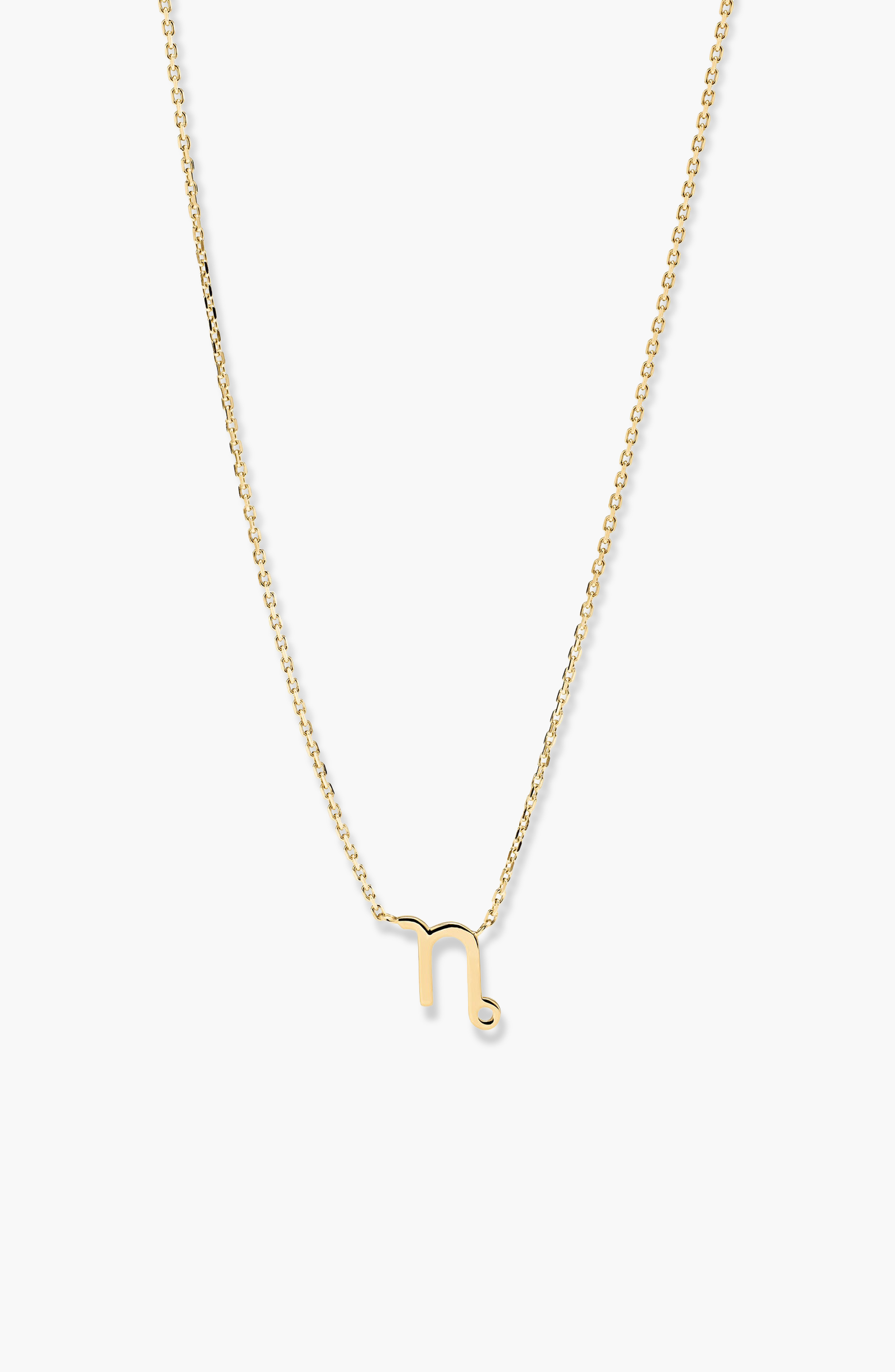 Capricorn