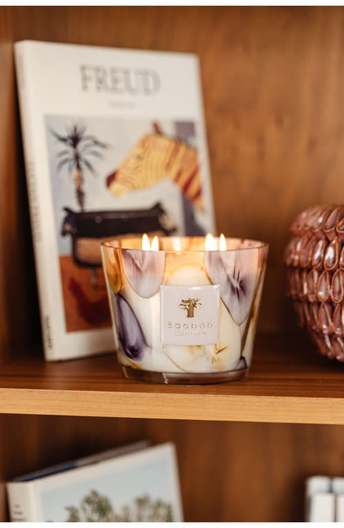 Baobab Collection Riviera Eilenroc Scented Candle In Purple Multi