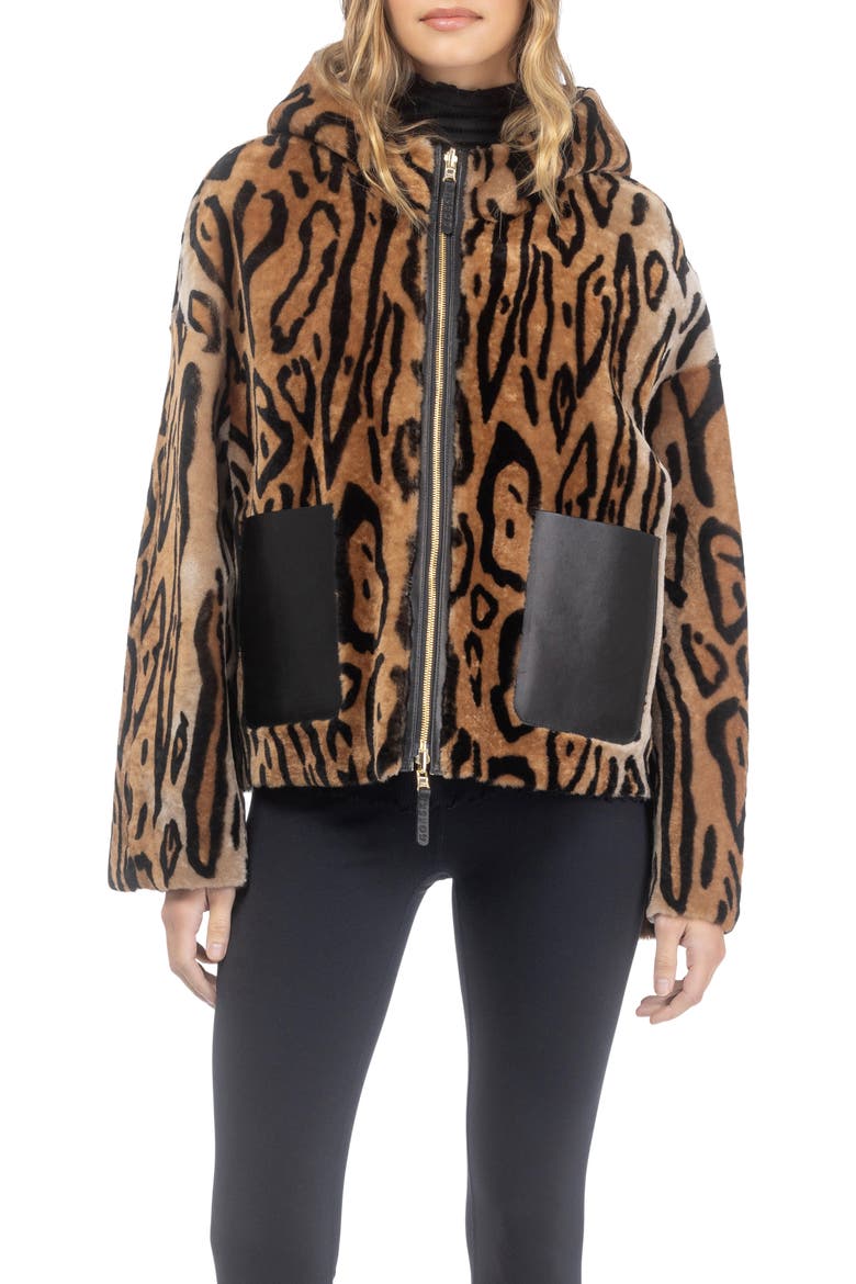 Genuine Shearling Hooded Jacket, Reversible, Main, color, OCELO PRINT/GOLD