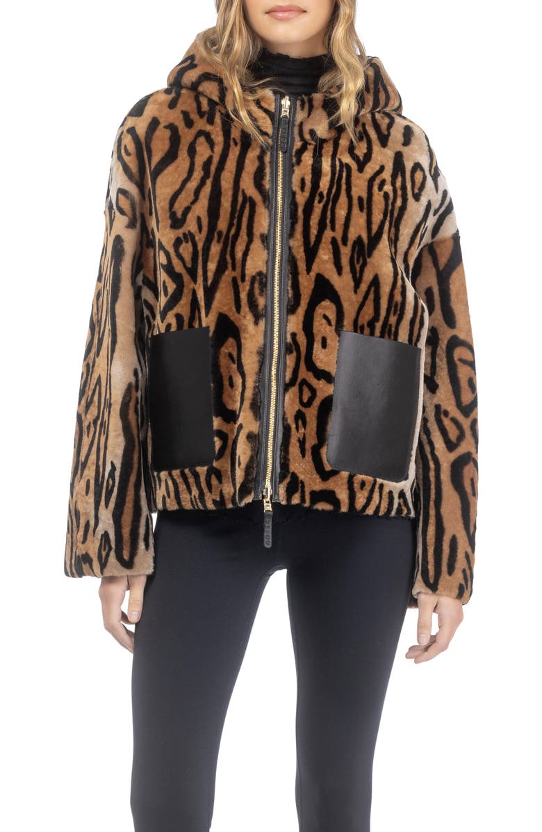 GORSKI Genuine Shearling Hooded Jacket, Reversible, Main, color, Ocelo Print/Gold