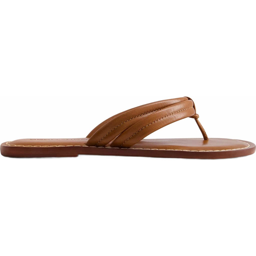 Shop Bernardo Footwear Miami Thong Sandal In Mahogany