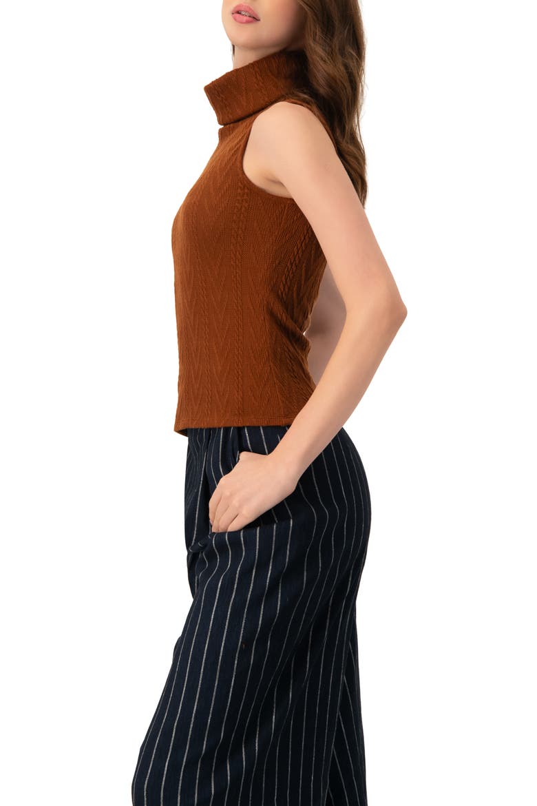 High Neck Sleeveless Knit Top, Alternate, color, Brown