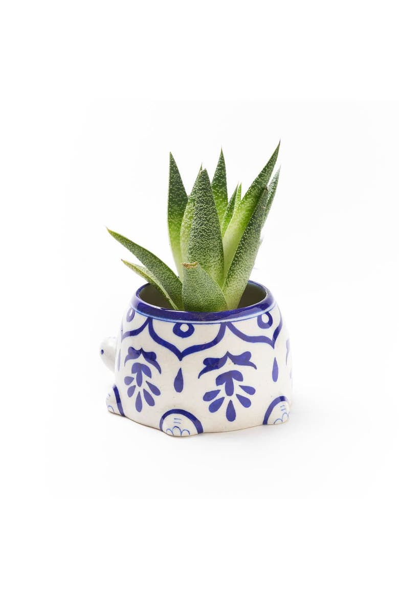 Lalita Mama Turtle Succulent Planter, Alternate, color, Multicolor