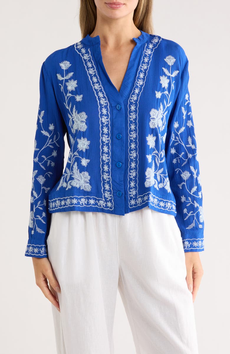 Forgotten Grace Floral Embroidered Button-Up Shirt, Main, color, 