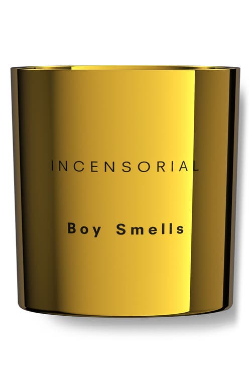 Boy Smells Incensorial Candle