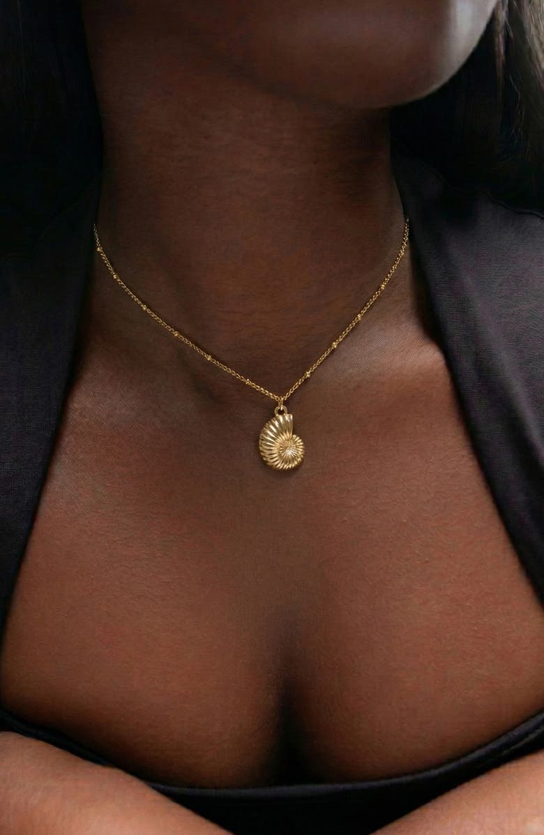 YOJ Coral Beaded Shell Chocker Necklace in Gold, Alternate, color, Gold