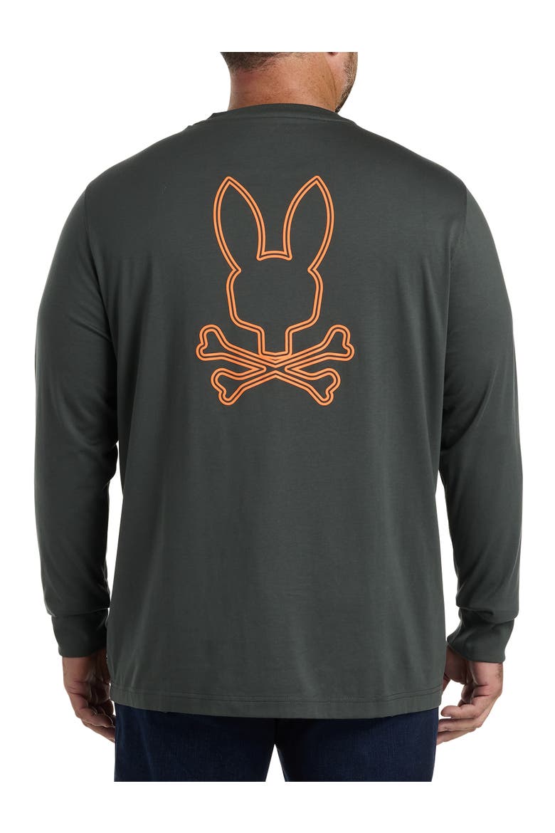 Richardson Long-Sleeve Graphic T-Shirt, Alternate, color, URBAN CHIC