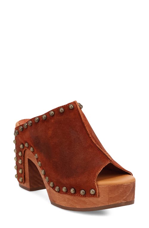 Dingo Echo Clog in Russet 