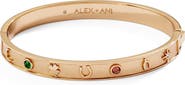 Alex and Ani Lucky Hinge Bangle Bracelet