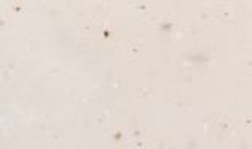 Evolvetogether Exfoliating Bar Soap In No Color