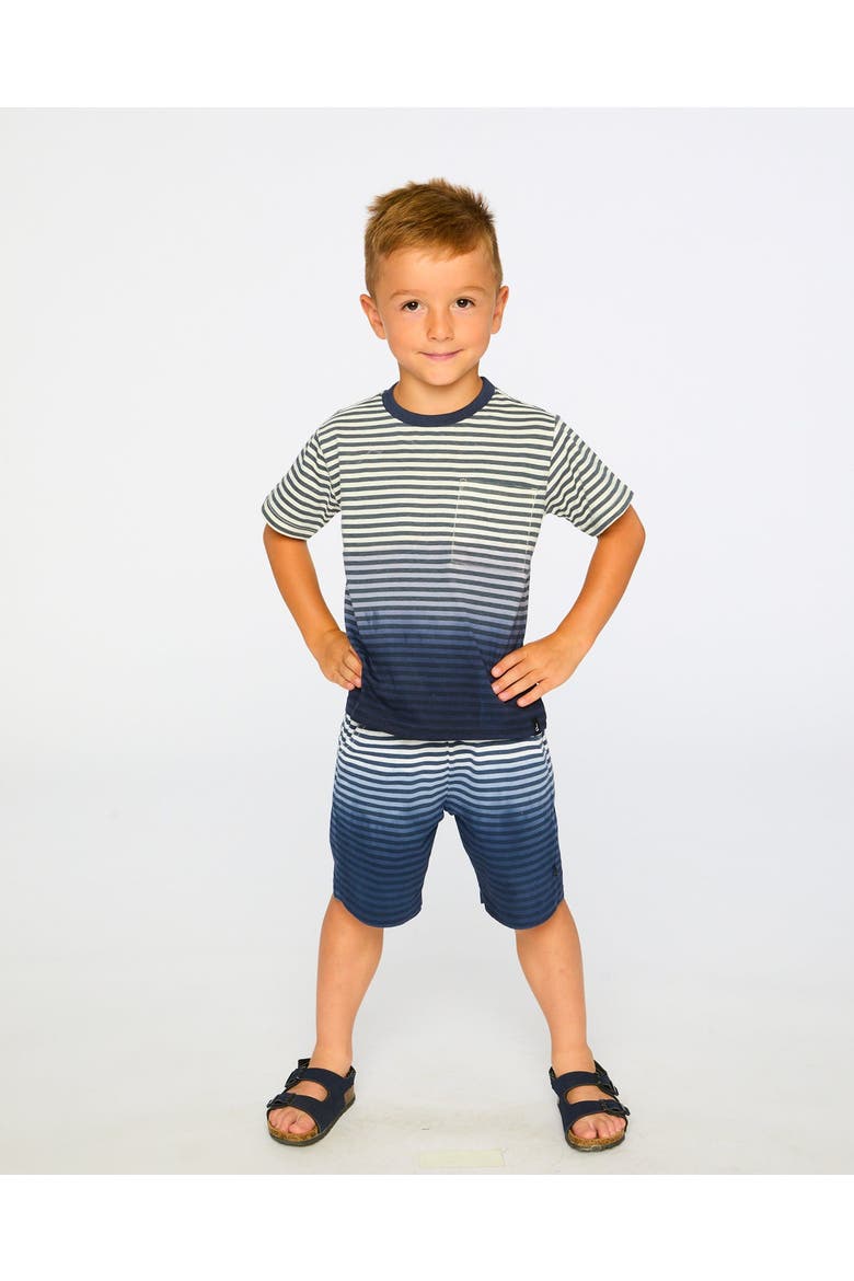 Organic Cotton Gradient Stripes Short Sleeve T-Shirt, Alternate, color, Striped Gradient Blue