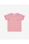  Petal Stripe