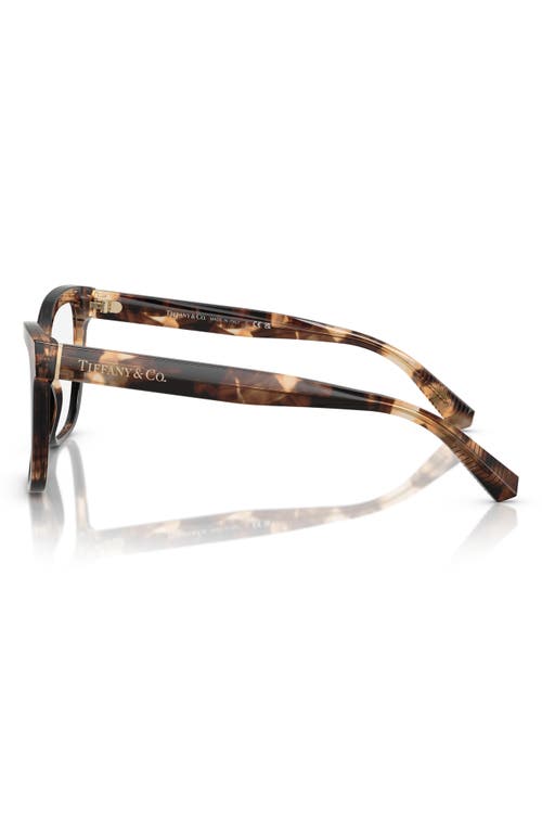 Tiffany & Co . 55mm Cat Eye Optical Glasses In Brown Havana