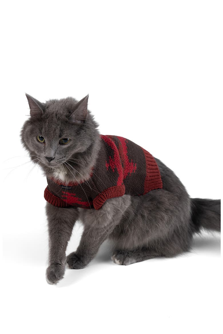 PET SWEATER, Main, color, CROWN POINT