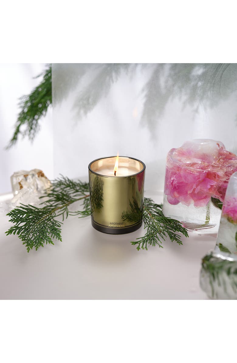 APOTHEKE Black Cypress Classic Scented Candle, Alternate, color, Green