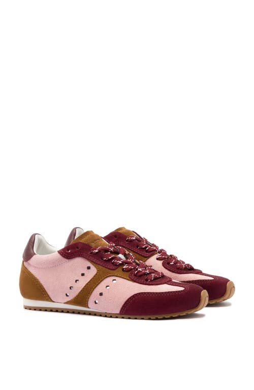 Larroude Stella Sneaker In Tulip