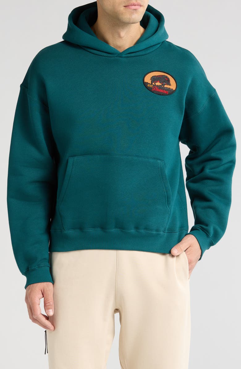 PLEASURES x Iuter Vincenzo Hoodie, Main, color, 