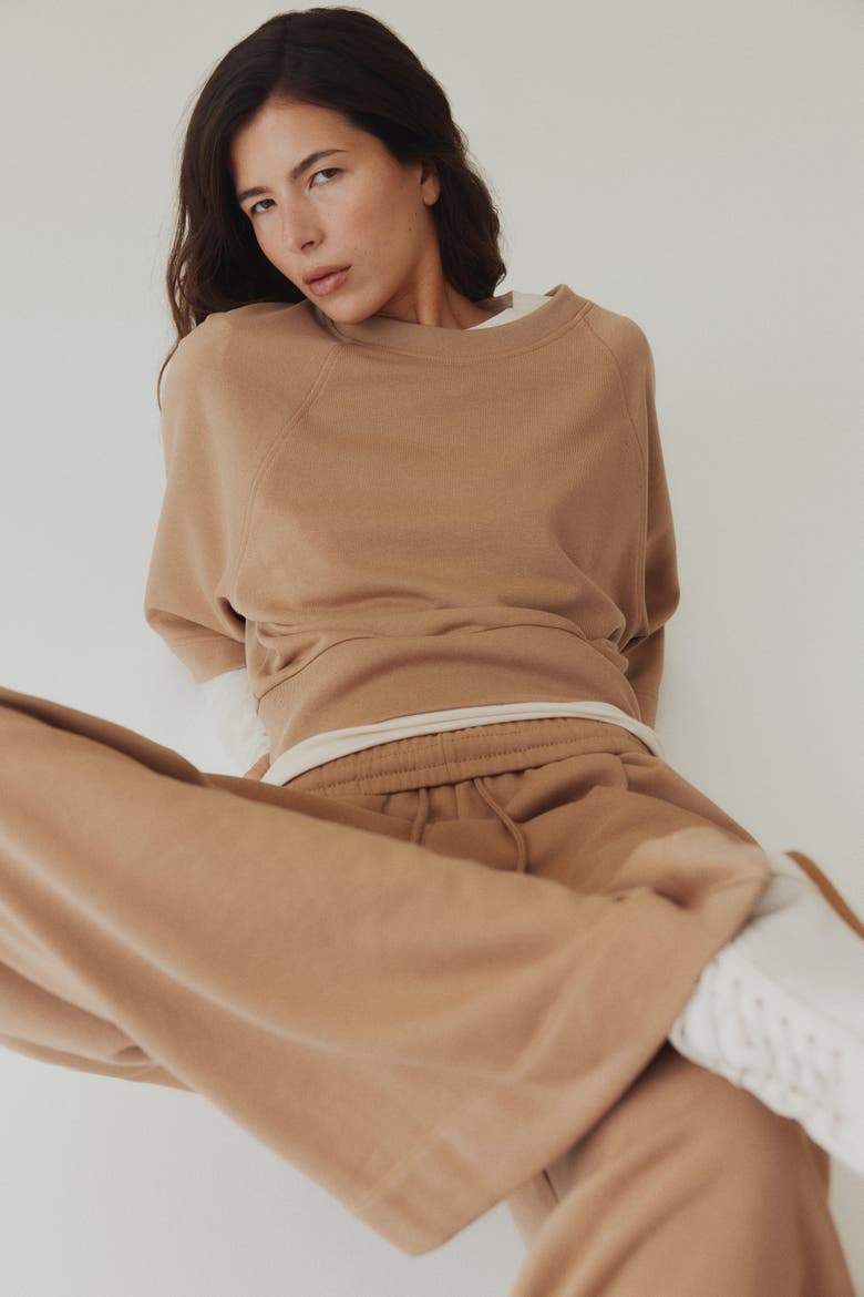 Pleat-detail Drawstring Trousers, Alternate, color, Dark beige