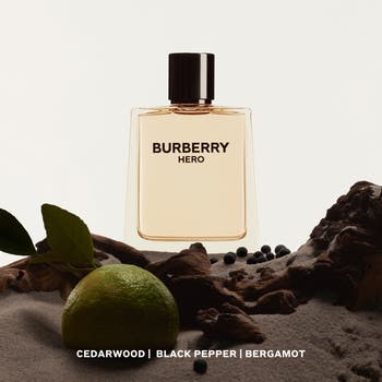 Burberry Hero Eau de Parfum 100ml - Men | Burberry® Official