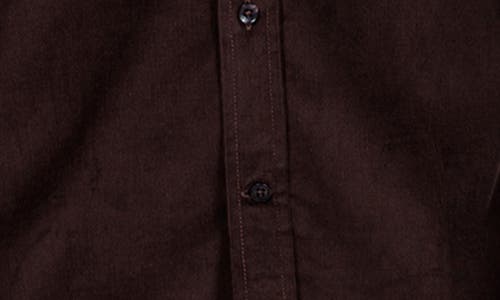 Tailorbyrd Corduroy Button-up Shirt In Brown