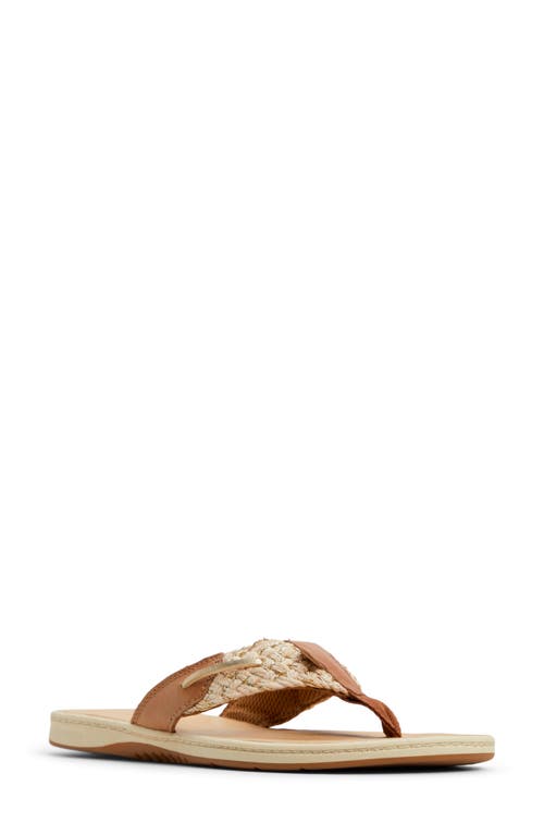 Sperry 'parrotfish' Thong Sandal