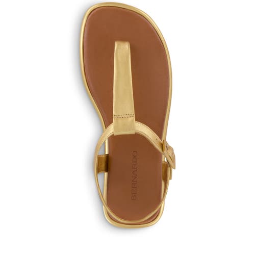 Bernardo Footwear Tucson T-strap Sandal In Gold