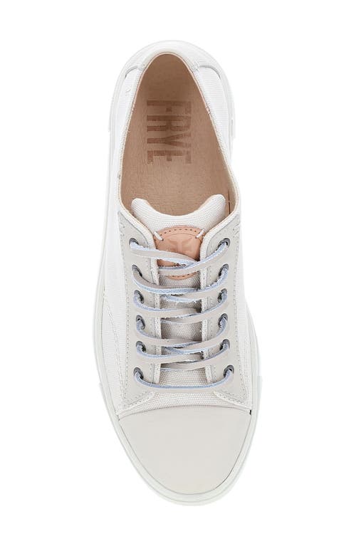 Frye Ivy Low Top Sneaker