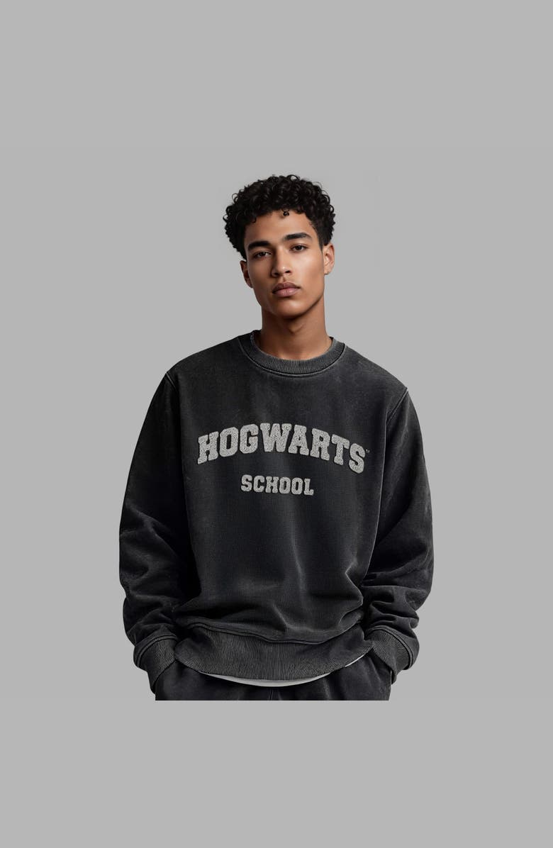 Blvck Harry Potter x Blvck
Hogwarts
Sweater, Alternate, color,