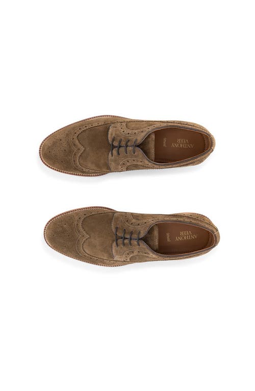 Anthony Veer Hamilton Wingtip Derby In Brown