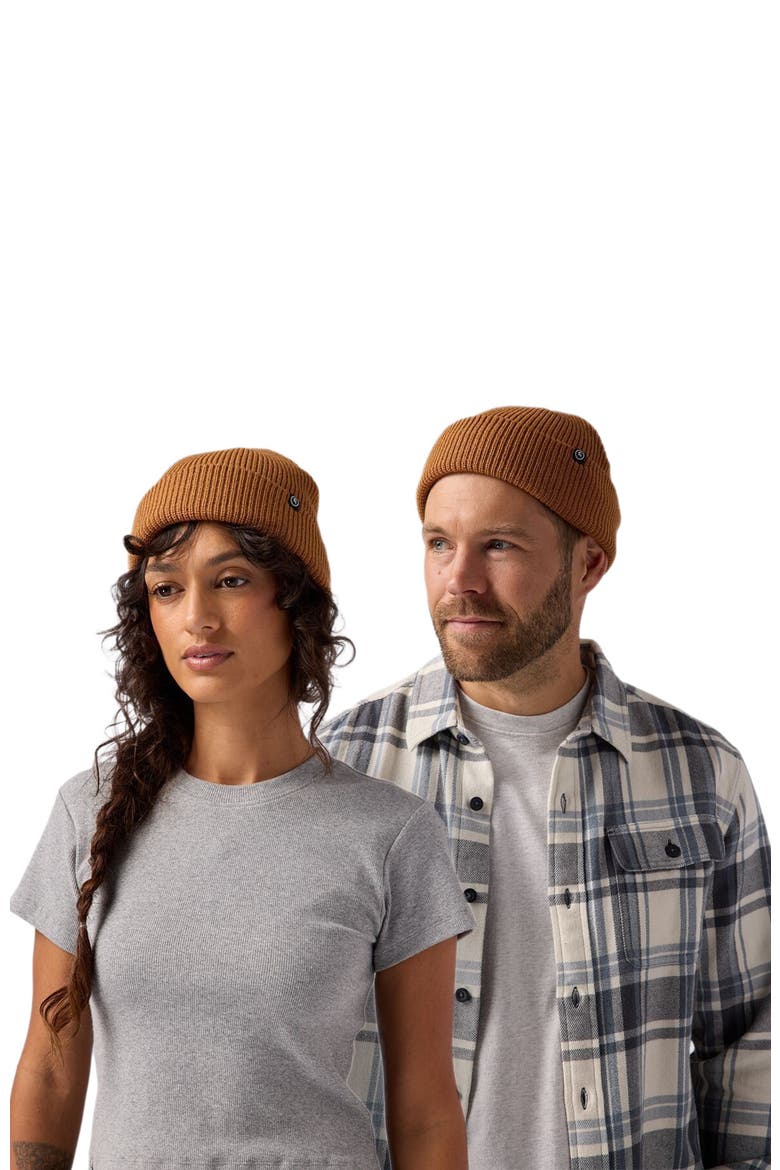 Capra Rolled Beanie, Alternate, color, Bistre
