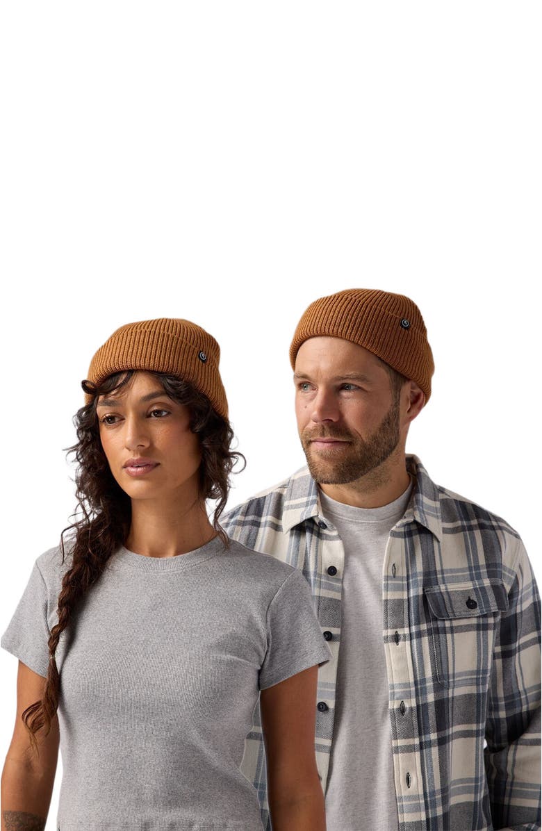 Backcountry Capra Rolled Beanie, Alternate, color, Bistre