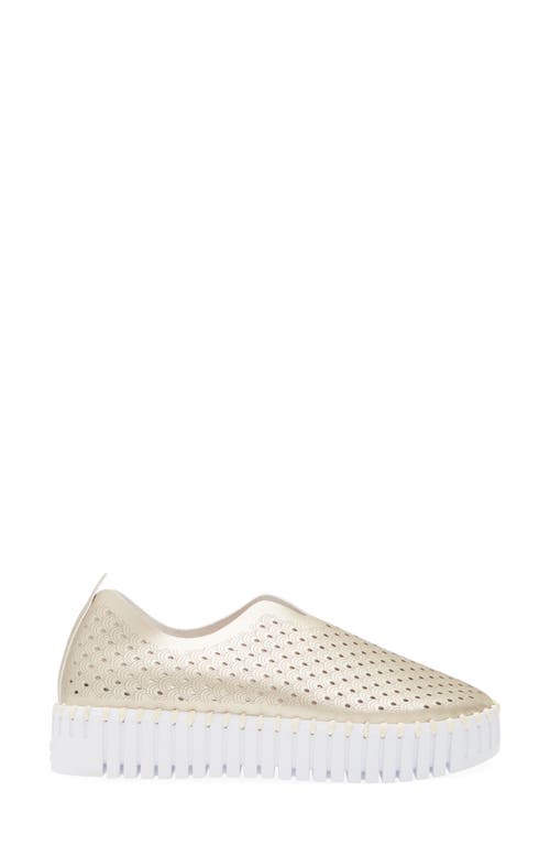 Ilse Jacobsen Tulip Sneaker In Platino