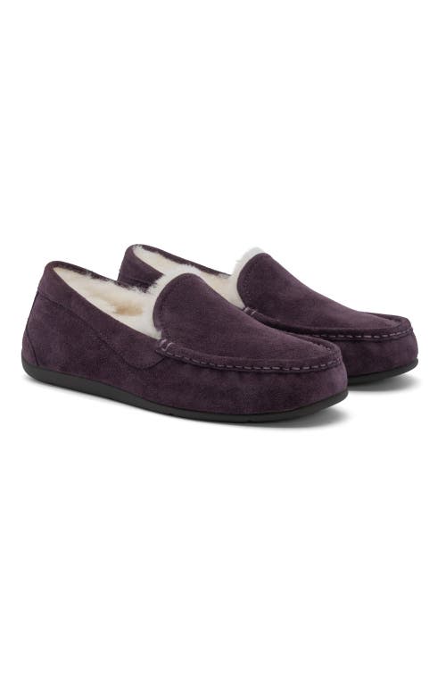 Abeo Amble Slipper In Dark Purple - Regular