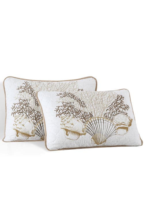 Beatrice Home Fashions Caribbean Joe Comforter & Shams Set