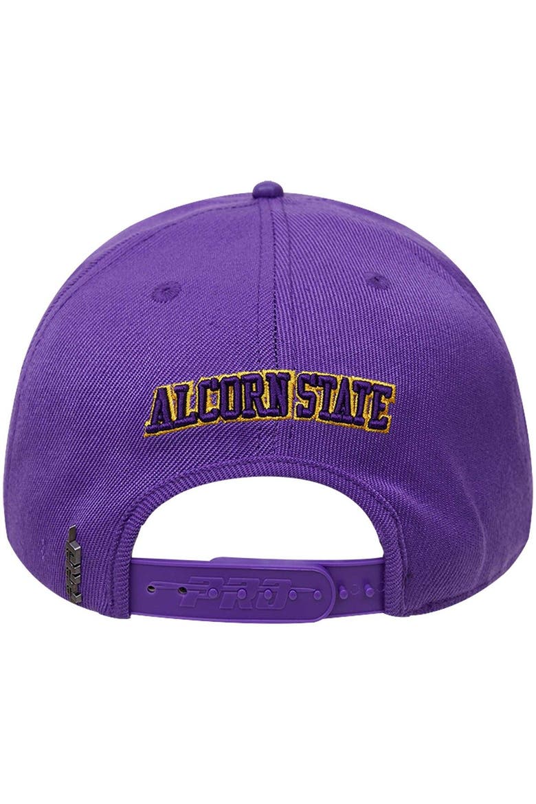 Men's Pro Standard  Purple Alcorn State Braves Evergreen Arch Over Logo Snapback Hat, Alternate, color, Purple