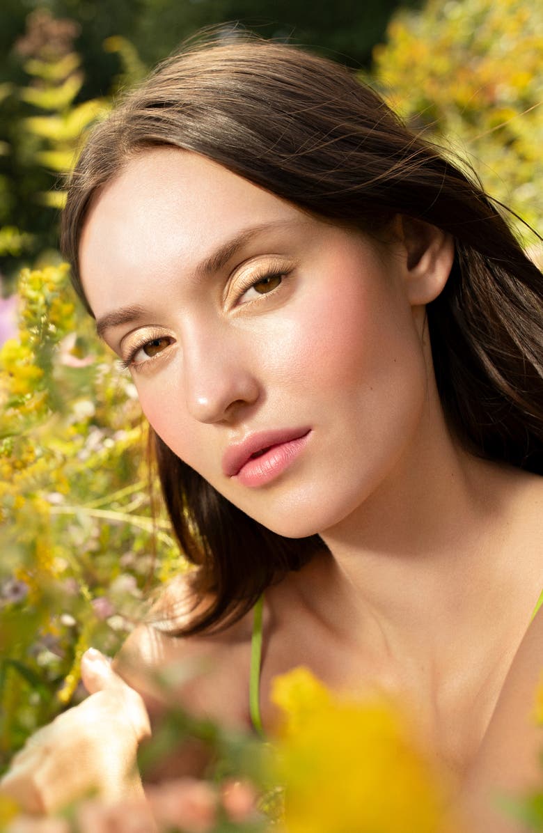 Chantecaille Wild Meadows Eye Quartet, Alternate, color, 