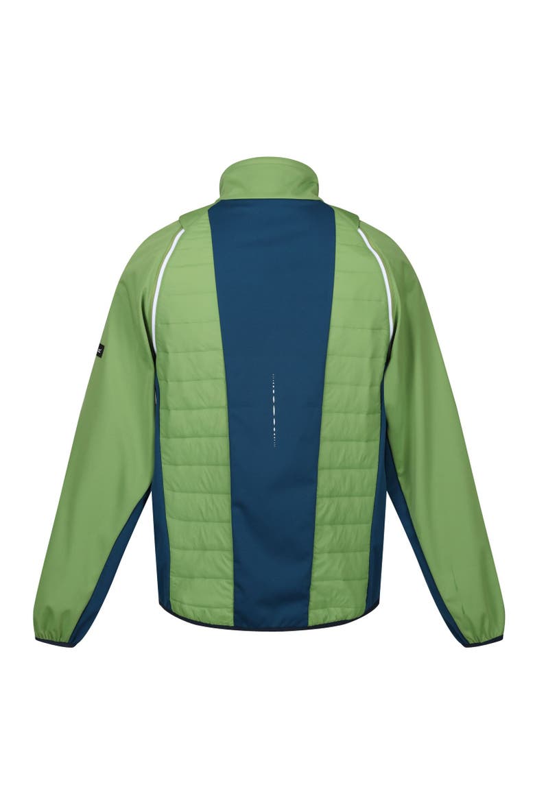 Steren II Softshell Hybrid Jacket, Alternate, color, Piquant Green  Moroccan