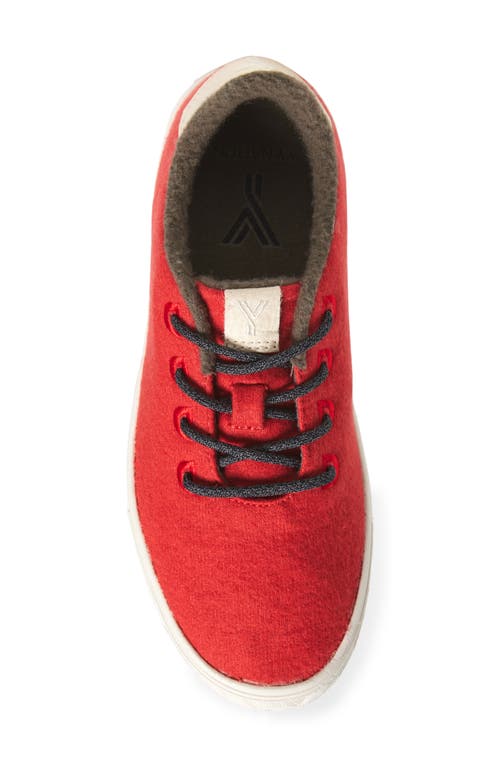Yy Nation Cirro Wool Blend Water Resistant Low Top Sneaker In Red/white