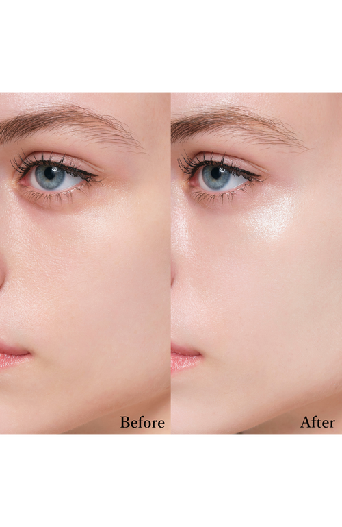 Anna Sui Gel Foundation Makeup Base In Brown