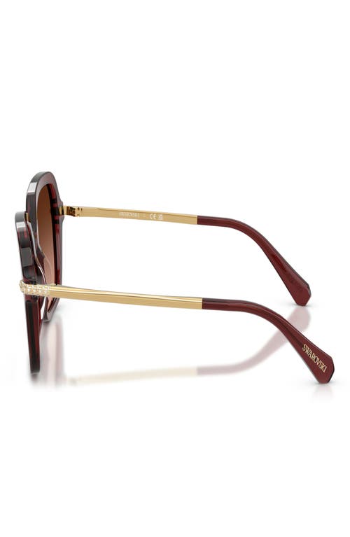 Swarovski 50mm Small Irregular Sunglasses In Brown