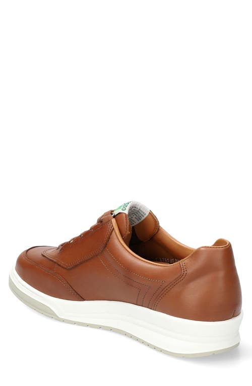 Mephisto Match Sneaker In Hazelnut Randy