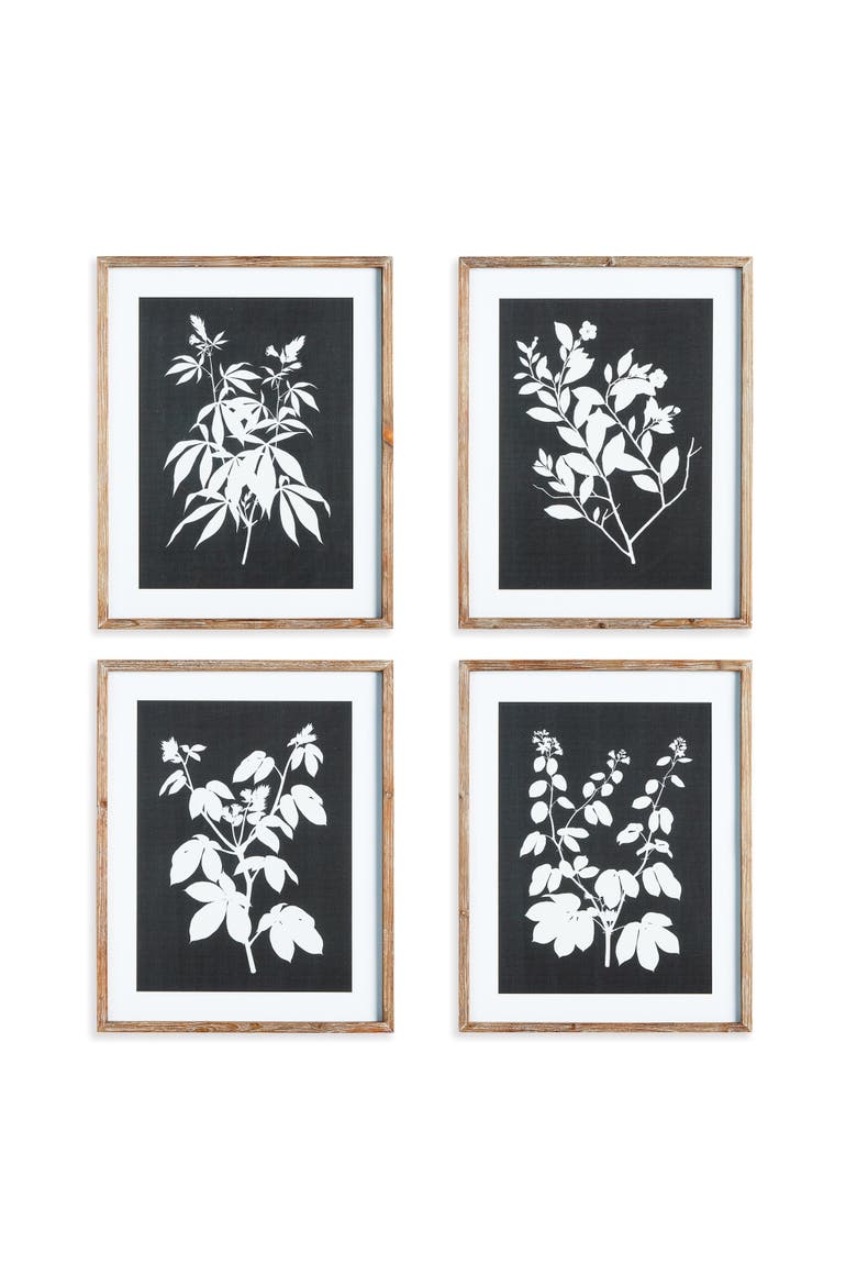 Monochrome Botanical Prints Set of 4, Main, color, Black