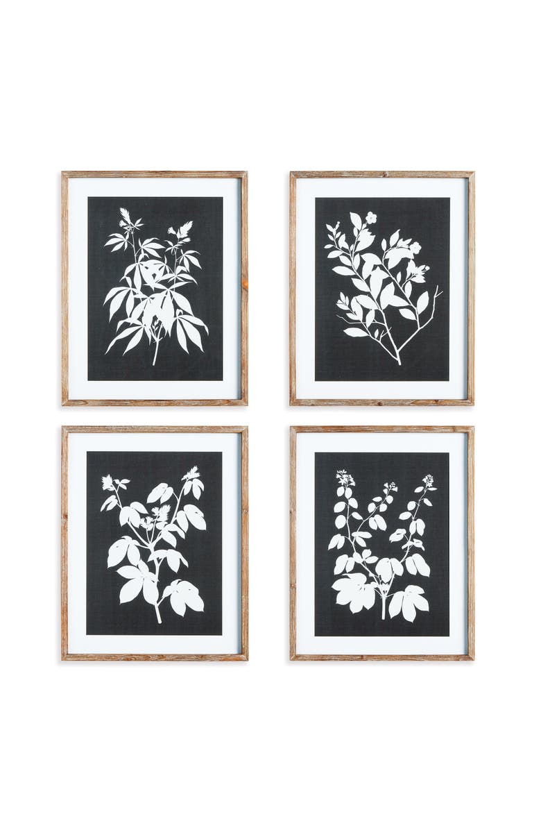 Napa Home & Garden Monochrome Botanical Prints Set of 4, Main, color, Black