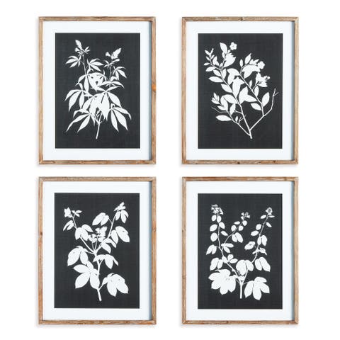 Monochrome Botanical Prints Set of 4